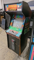 KUNG FU MASTER UPRIGHT CLASSIC ARCADE GAME - 4