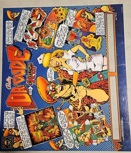 DR. DUDE PINBALL BACK BOX TRANSLITE BALLY ARTWORK