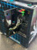 STACKER CLUB BLUE INSTANT PRIZE REDEMPTION GAME LAI GAMES - 4