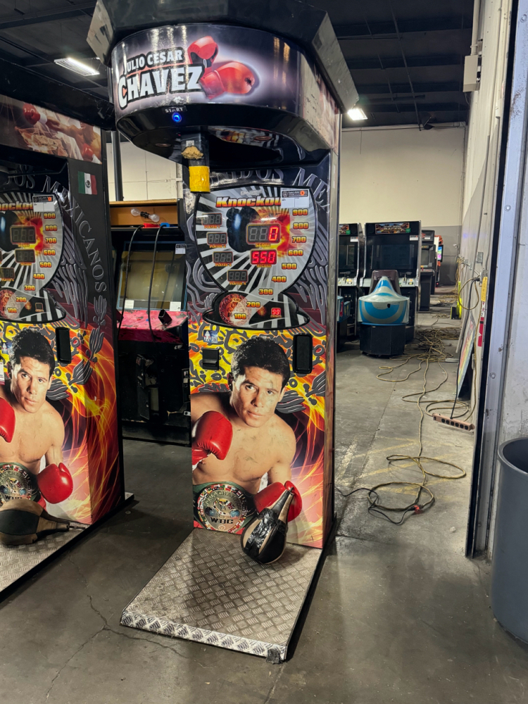 JULIO CESAR CHAVEZ BOXING PUNCHING BAG KNOCKOUT STRENGTH GAME #2