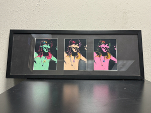 TRI-COLOR AXEL ROSE GUNS N' ROSES MUSIC MEMORABILIA ART PRINT