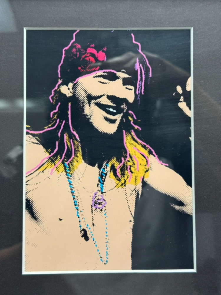 TRI-COLOR AXEL ROSE GUNS N' ROSES MUSIC MEMORABILIA ART PRINT