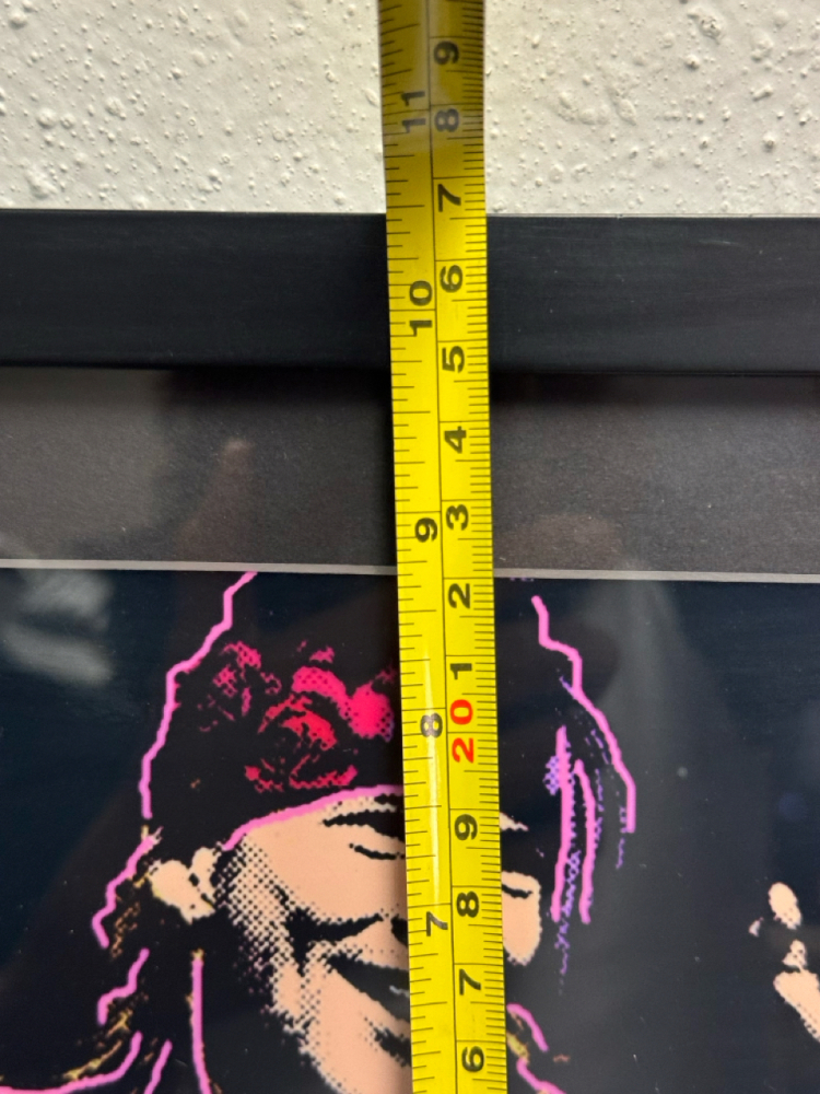 TRI-COLOR AXEL ROSE GUNS N' ROSES MUSIC MEMORABILIA ART PRINT