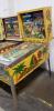 CARNIVAL PINBALL MACHINE PLAYMATIC 1977 - 3