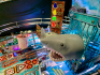 JAWS PRO MODEL PINBALL MACHINE STERN L@@K!!! - 13