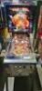 ELEKTRA CLASSIC BALLY PINBALL MACHINE 1981 - 3