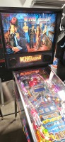 WHO DUNNIT BALLY PINBALL MACHINE 1995 - 6