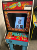 DONKEY KONG 3 UPRIGHT ARCADE GAME NINTENDO - 4