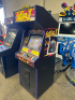 STREET FIGHTER WORLD WARRIOR ARCADE - 10