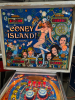 CONEY ISLAND PINBALL MACHINE GAME PLAN - 4