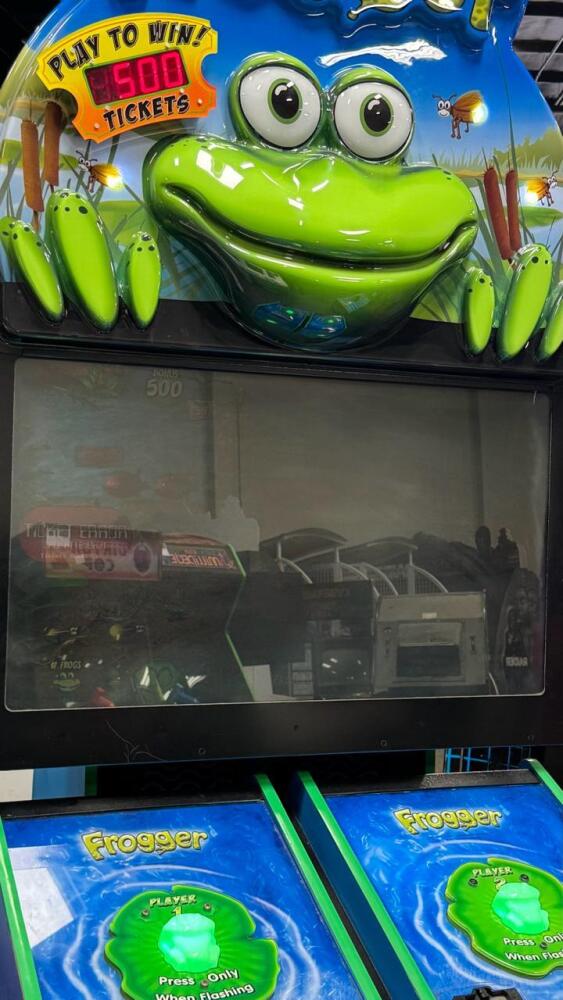 FROGGER VIDEO TICKET REDEMPTION ARCADE GAME by RAW THRILLS