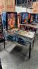 EMBRYON CLASSIC WIDEBODY PINBALL MACHINE by BALLY 1981 - 22