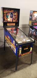 RIPLEY'S BELIEVE IT OR NOT? PINBALL MACHINE STERN