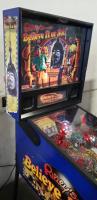 RIPLEY'S BELIEVE IT OR NOT? PINBALL MACHINE STERN - 3