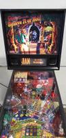 RIPLEY'S BELIEVE IT OR NOT? PINBALL MACHINE STERN - 10