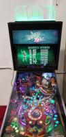 THE WIZARD OF OZ PINBALL MACHINE NEW #429/1000 - 2