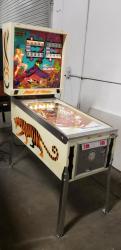 JUNGLE QUEEN CLASSIC PINBALL MACHINE GOTTLIEB 1977