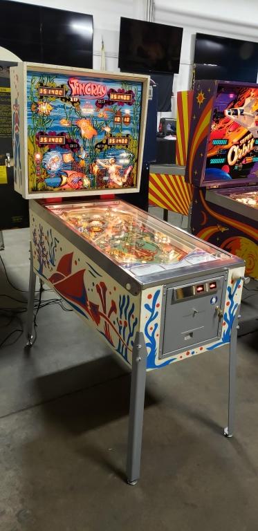 STINGRAY PINBALL MACHINE STERN 1977