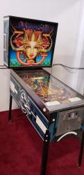 BARRACORA CLASSIC PINBALL MACHINE WILLIAMS 1981