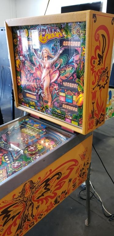 farfalla pinball machine