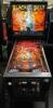 BLACK BELT CLASSIC PINBALL MACHINE BALLY 1986 - 3