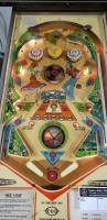 HEE HAW PINBALL MACHINE CHICAGO COIN 1973 - 3