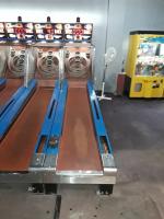 SKEEBALL 13' ALLEY ROLLER TICKET REDEMPTION GAME