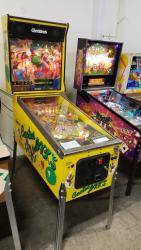 CACTUS JACK'S PINBALL MACHINE GOTTLIEB