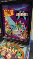 DOOZIE PINBALL MACHINE WILLIAMS 1968 - 6