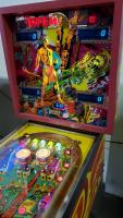 TOTEM CLASSIC PINBALL MACHINE GOTTLIEB 1979 - 6