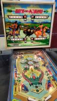 BOW AND ARROW CLASSIC PINBALL MACHINE BALLY 1975 - 3