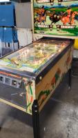 BOW AND ARROW CLASSIC PINBALL MACHINE BALLY 1975 - 8