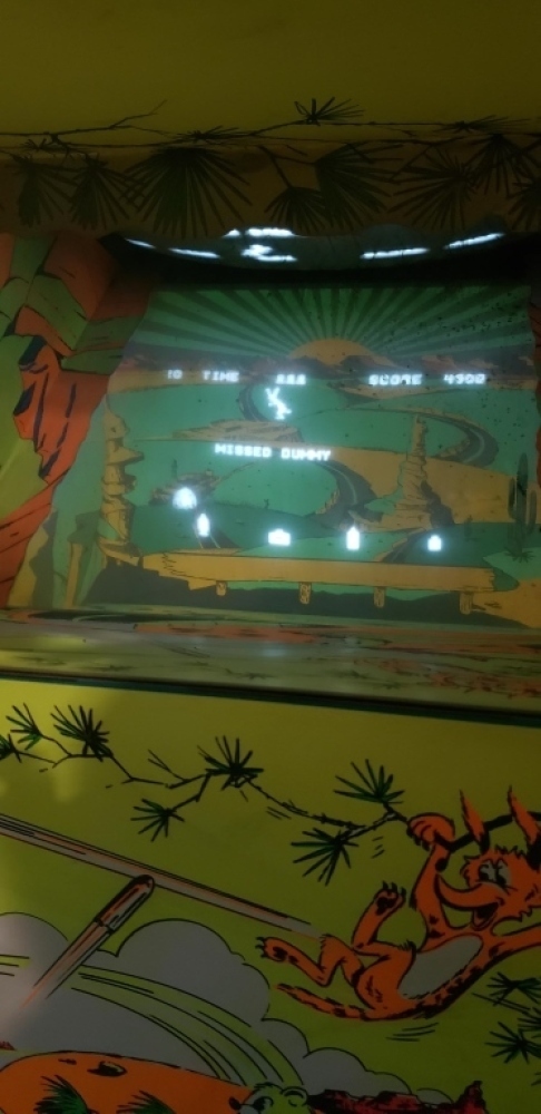 ROAD RUNNER EM RIFLE GALLERY MIDWAY ARCADE