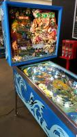 SEA WITCH CLASSIC STERN PINBALL MACHINE - 3