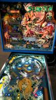 SEA WITCH CLASSIC STERN PINBALL MACHINE - 8