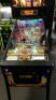RIPLEY'S BELIEVE IT OR NOT PINBALL MACHINE - 10