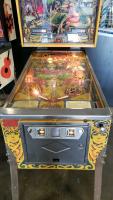 LOST WORLD CLASSIC BALLY PINBALL MACHINE 1978 - 11