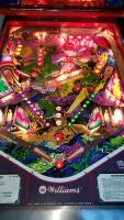 Scorpion Pinball Machine Williams SS - 5