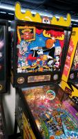 Adventures of Rocky and Bullwinkle and Friends Pinball Machine Data East SS - 7