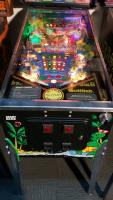 Surf N Safari - Pinball Machine Gottlieb - 6