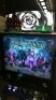 Americas Most Haunted Pinball Machine Spooky - 10
