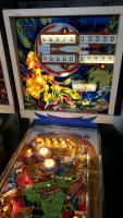 Dragon - Pinball Machine Gottlieb EM - 4