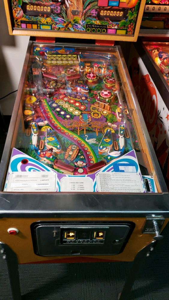 farfalla pinball machine