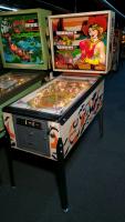 Stampede Pinball Machine Stern EM - 2