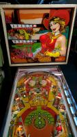 Stampede Pinball Machine Stern EM - 6