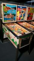 Delta Queen Pinball Machine Bally EM