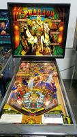 Pharaoh Classic Pinball Machine Williams 1981 - 4