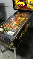 Black Knight Pinball Machine Williams 1980 - 3