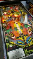 Black Knight Pinball Machine Williams 1980 - 6