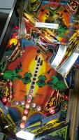 Black Knight Pinball Machine Williams 1980 - 7